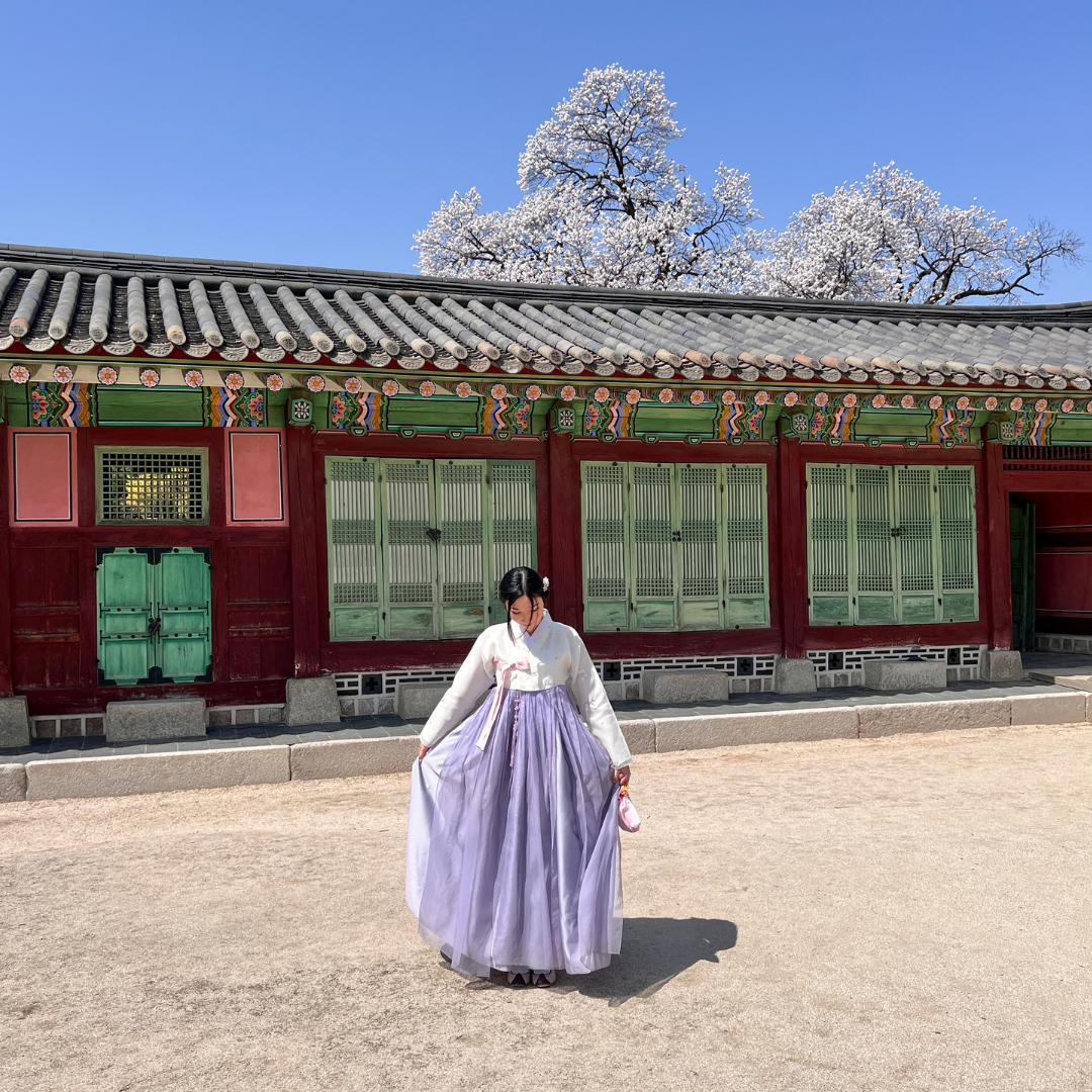 9-Day Spring Itinerary: Hong Kong, Seoul & Jeju Island (Cherry Blossoms & Viral Food)